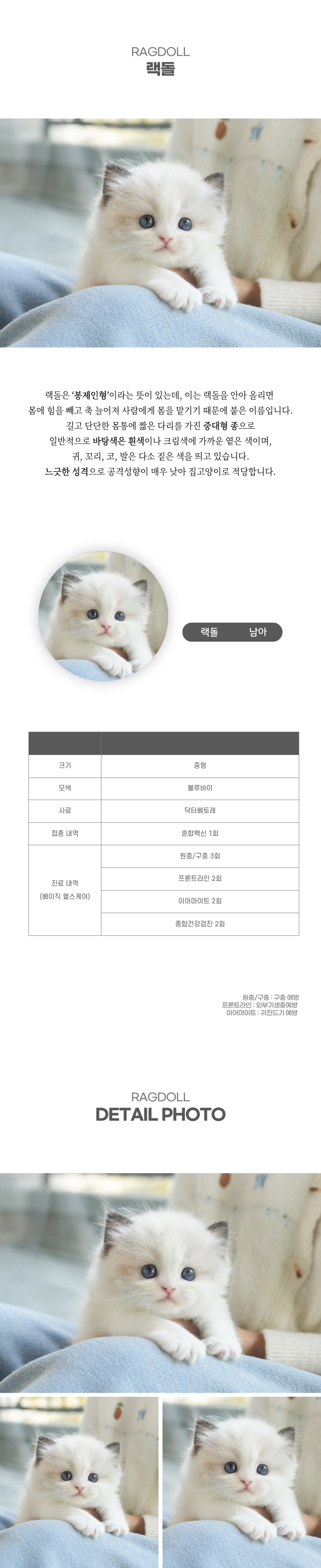 랙돌_상세이미지_2